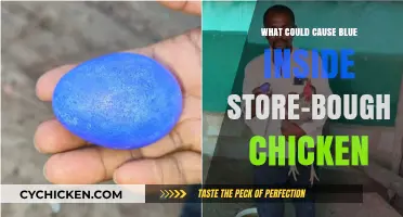 Why Store-Bought Chicken Turns Blue: Causes and Concerns Explained