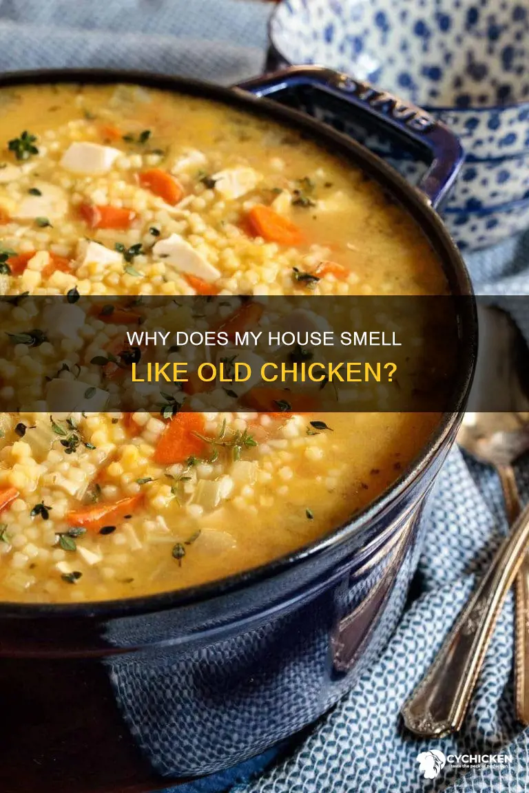 what could causes an old chicken smell in house
