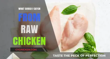Raw Chicken Risks: Common Illnesses You Could Catch from Undercooked Poultry