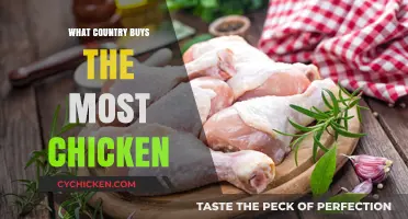 Global Poultry Consumption: Which Nation Leads in Chicken Purchases?