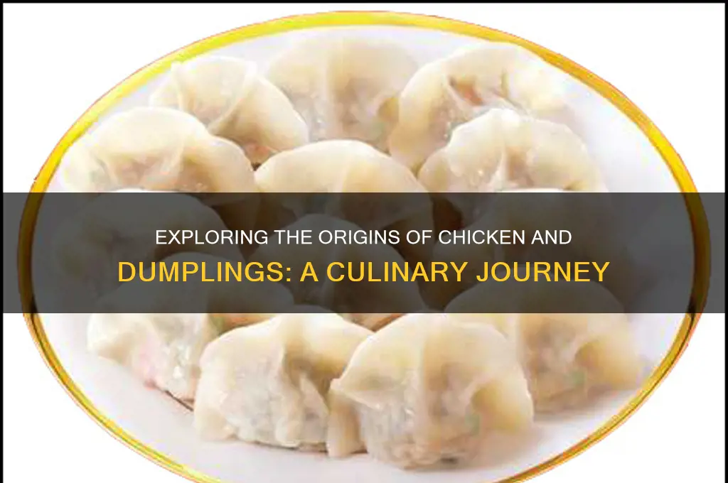 what country did chicken and dumpolings come from