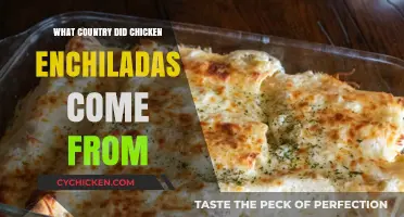 Exploring the Origins of Chicken Enchiladas: A Mexican Culinary Journey