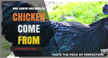 Unveiling the Origin of Birds Eye Chicken: A Global Culinary Journey