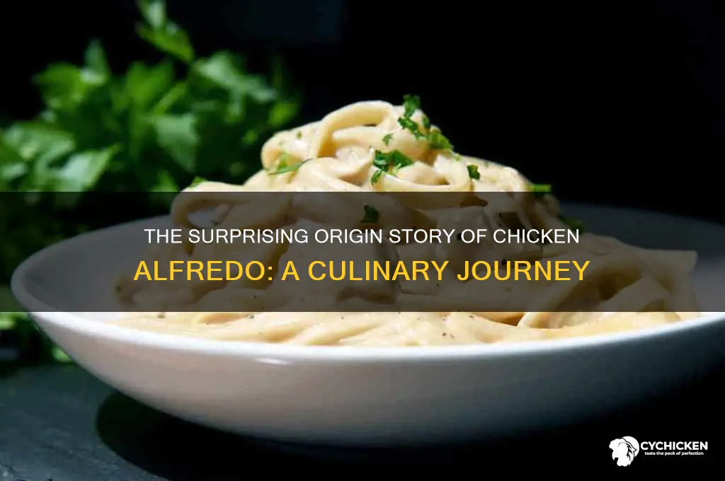 what country does chicken alfredo come from