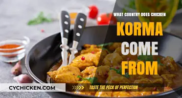 Exploring the Origins of Chicken Korma: Which Country Claims This Dish?