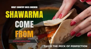 Exploring the Origins of Chicken Shawarma: Which Country Claims It?