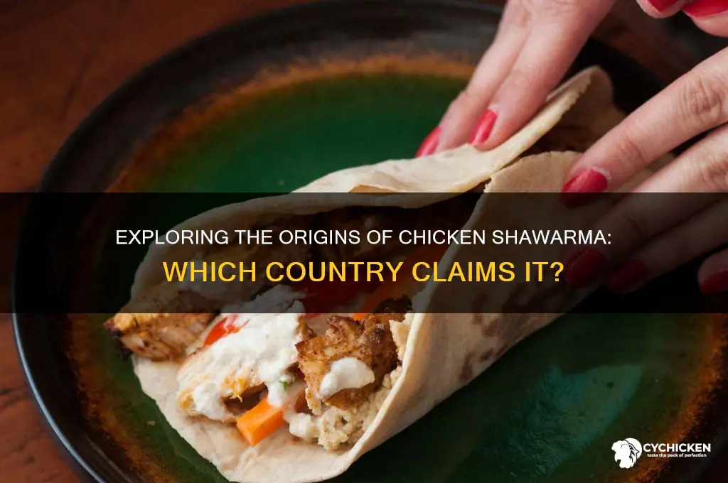 what country does chicken shawarma come from