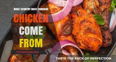 The Origins of Tandoori Chicken: A Culinary Journey to India