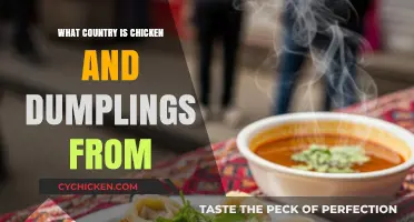Exploring the Origins of Chicken and Dumplings: A Global Culinary Journey