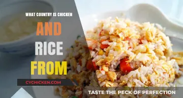 Exploring the Origins of Chicken and Rice: A Global Culinary Journey