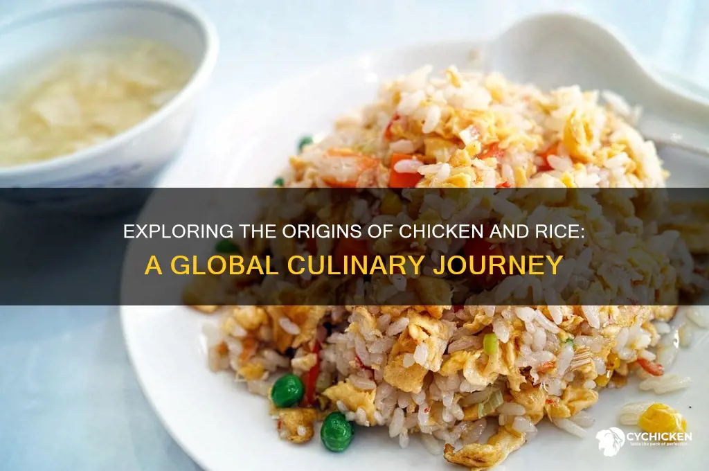 what country is chicken and rice from