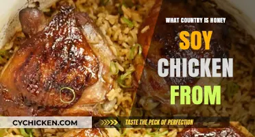 Honey Soy Chicken Origins: Unveiling the Country Behind This Delicious Dish