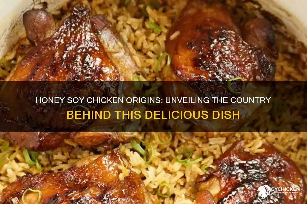 what country is honey soy chicken from
