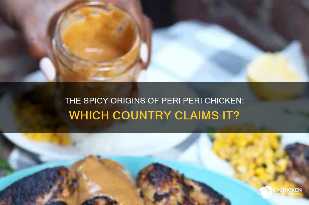 what country is peri peri chicken from