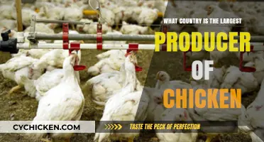Global Poultry Leader: Which Country Produces the Most Chicken?