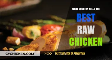 Top Global Raw Chicken Suppliers: Which Country Leads the Market?