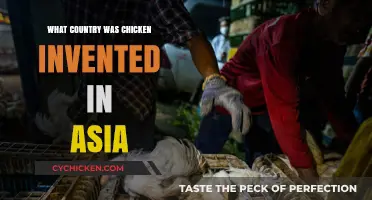 Exploring Asia's Culinary Roots: Where Was Chicken First Domesticated?
