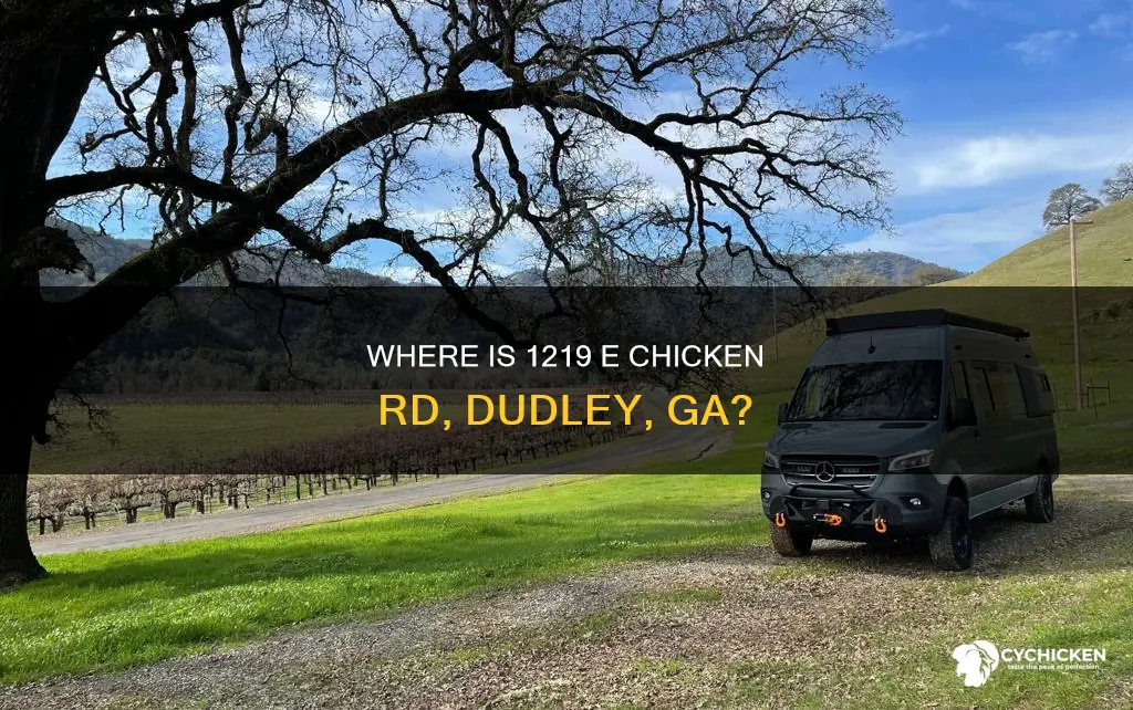what county is 1219 e chicken rd dudley ga