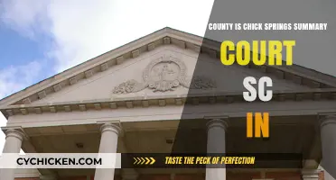 Chick Springs Summary Court: County and Location