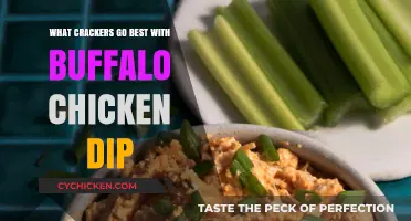 Perfect Pairings: Best Crackers to Complement Buffalo Chicken Dip