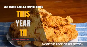 Cracker Barrel's Campfire Chicken: A Tennessee Treat