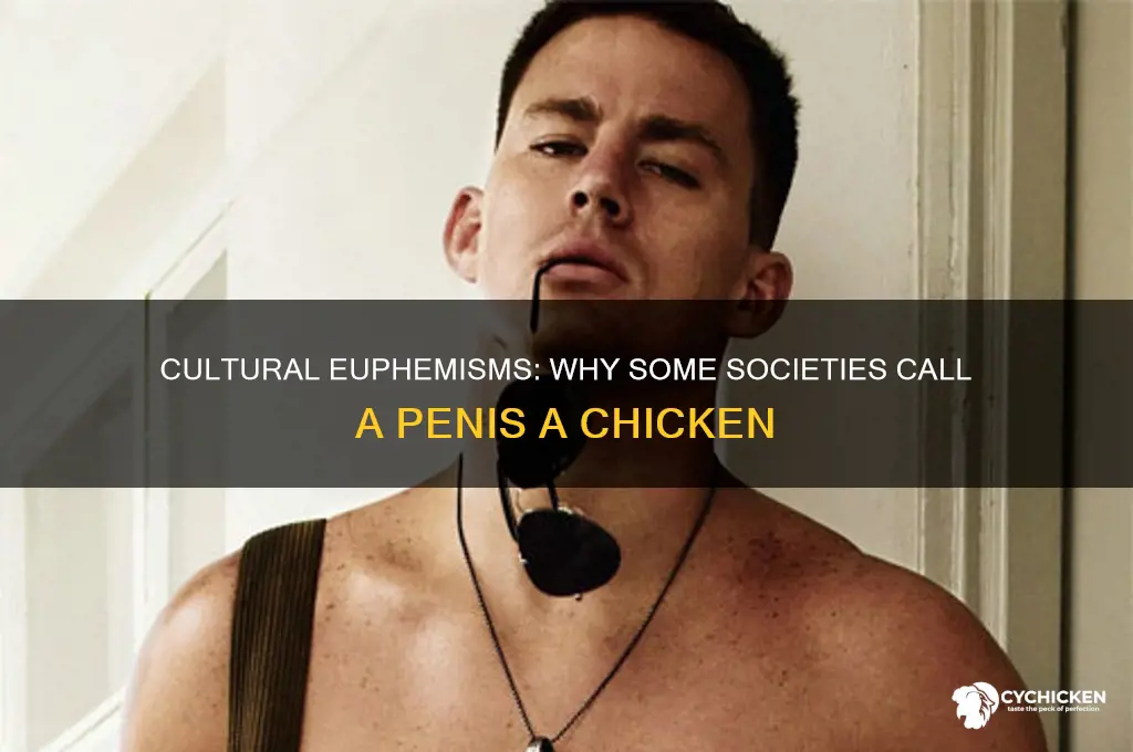 what culture calls a penis a chicken