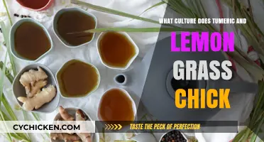 Exploring Turmeric and Lemongrass Chick's Cultural Roots and Culinary Magic