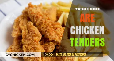 What Are Chicken Tenders? Uncovering the Cut Behind the Favorite