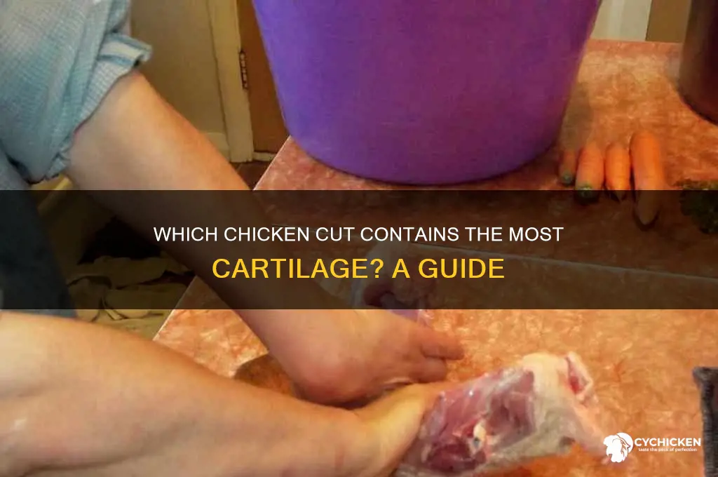 what cut of chicken has most cartilege