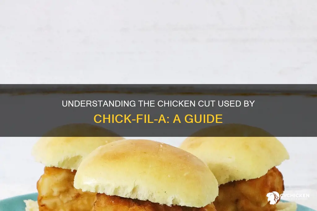 what cut of chicken is a cfa