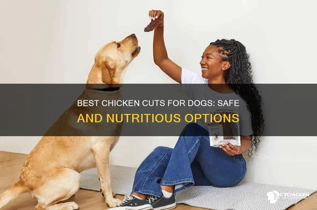 what cut of chicken is best for dogs