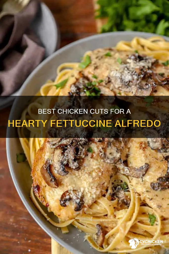 what cut of chicken is best for fettuccine alfredo