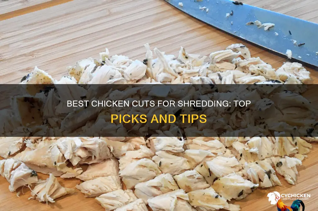what cut of chicken is best for shredding