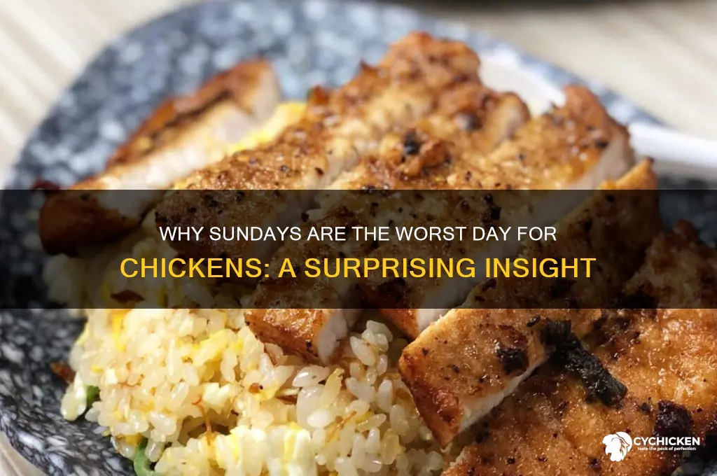 what day does the chicken hate the most