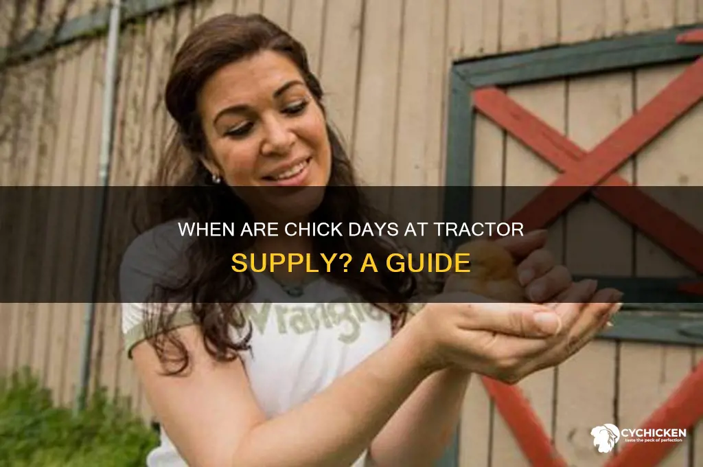 what days are chick days at tractor supply