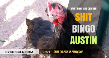 Austin's Chicken Shit Bingo: Days, Times, and Where to Play