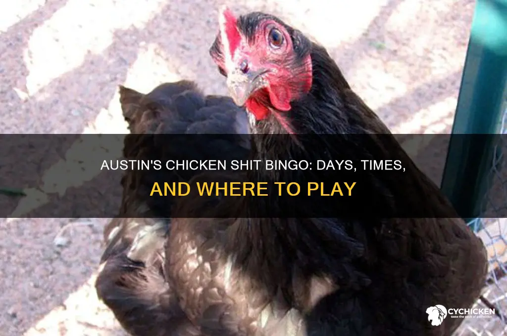 what days are chicken shit bingo austin