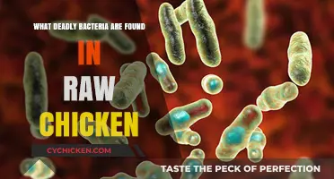 Hidden Dangers: Deadly Bacteria Lurking in Raw Chicken Explained