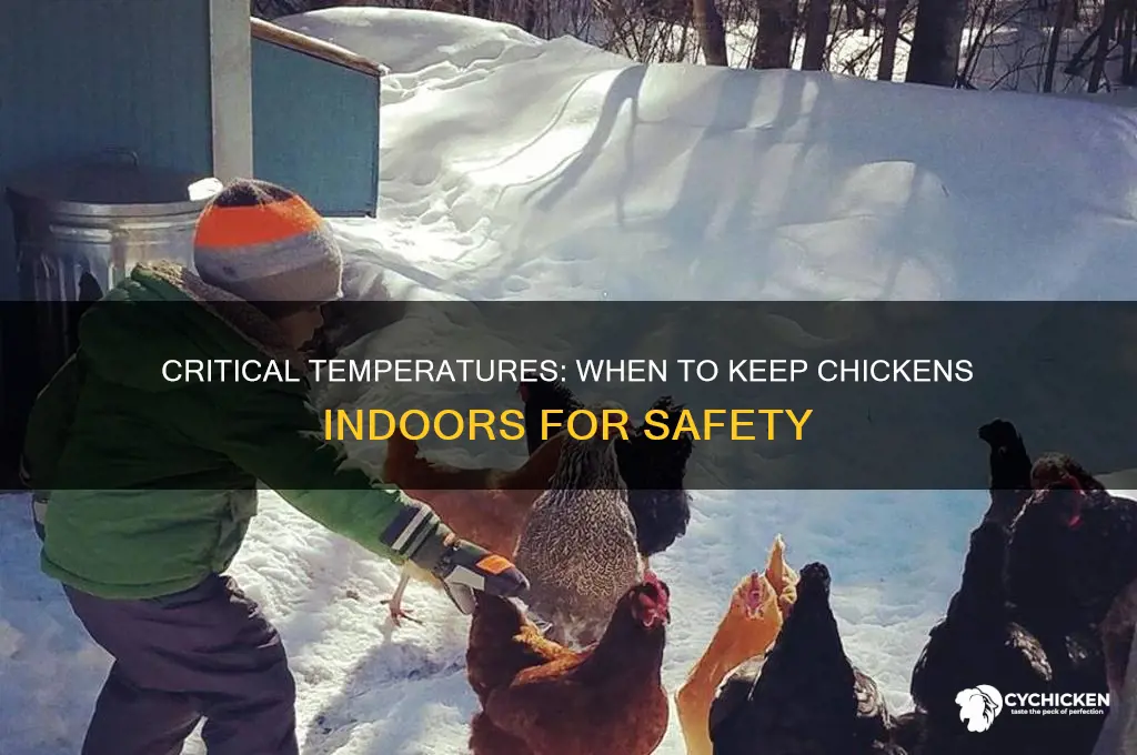 what degrees should chicken not be outside