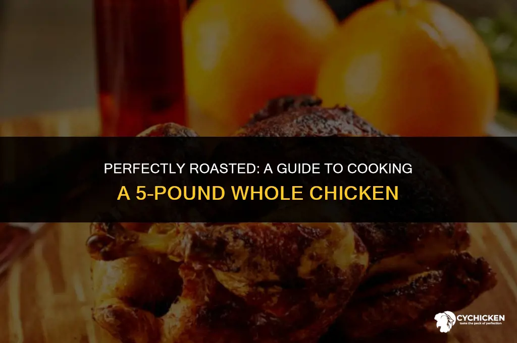 what degrees to cook 5 pound whole chicken