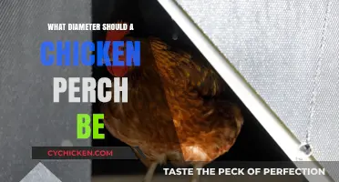 Choosing the Right Chicken Perch Diameter for Happy, Healthy Hens