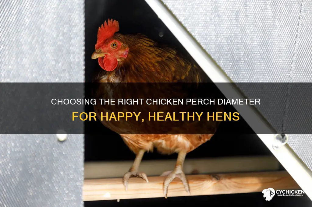 what diameter should a chicken perch be