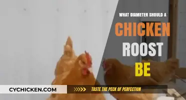 Choosing the Perfect Chicken Roost Diameter for Happy, Healthy Hens