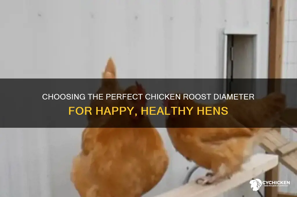 what diameter should a chicken roost be