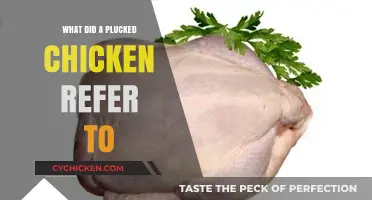 Unraveling the Mystery: What Did 'Plucked Chicken' Really Mean?