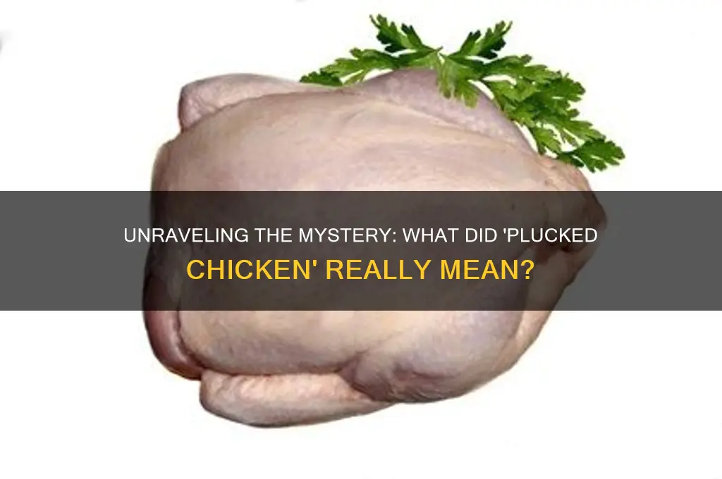 what did a plucked chicken refer to
