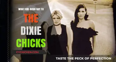 Bush's Words to the Dixie Chicks: Unraveling the Controversial Exchange