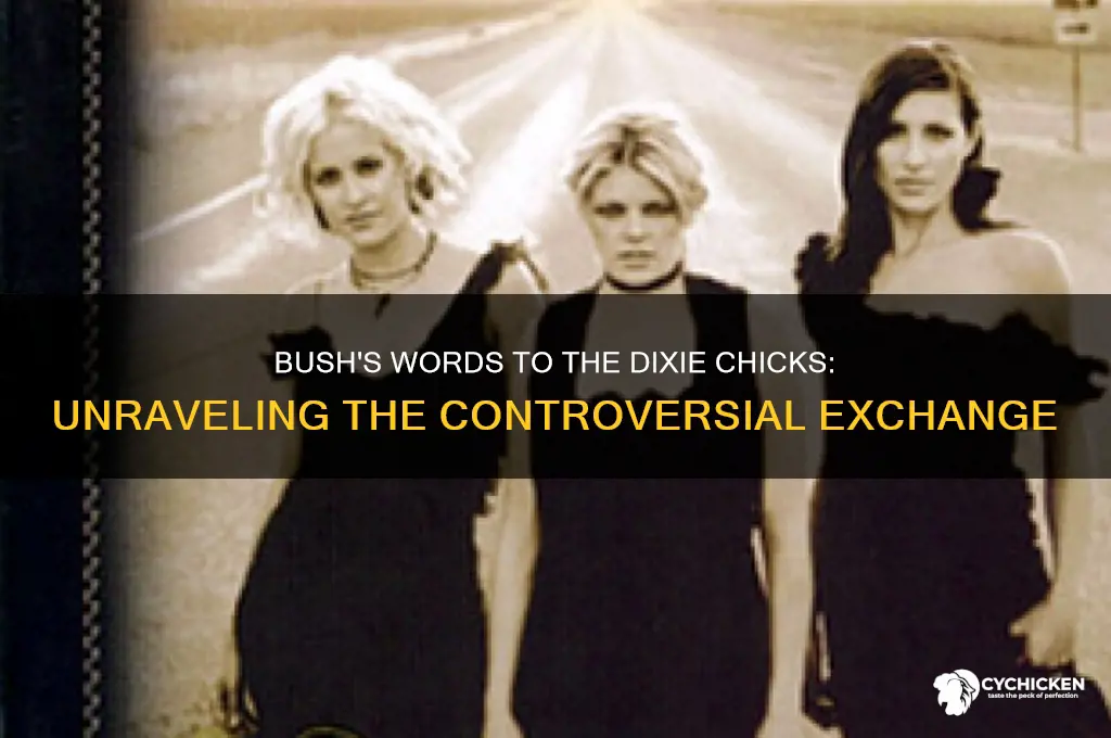 what did bush say to the dixie chicks
