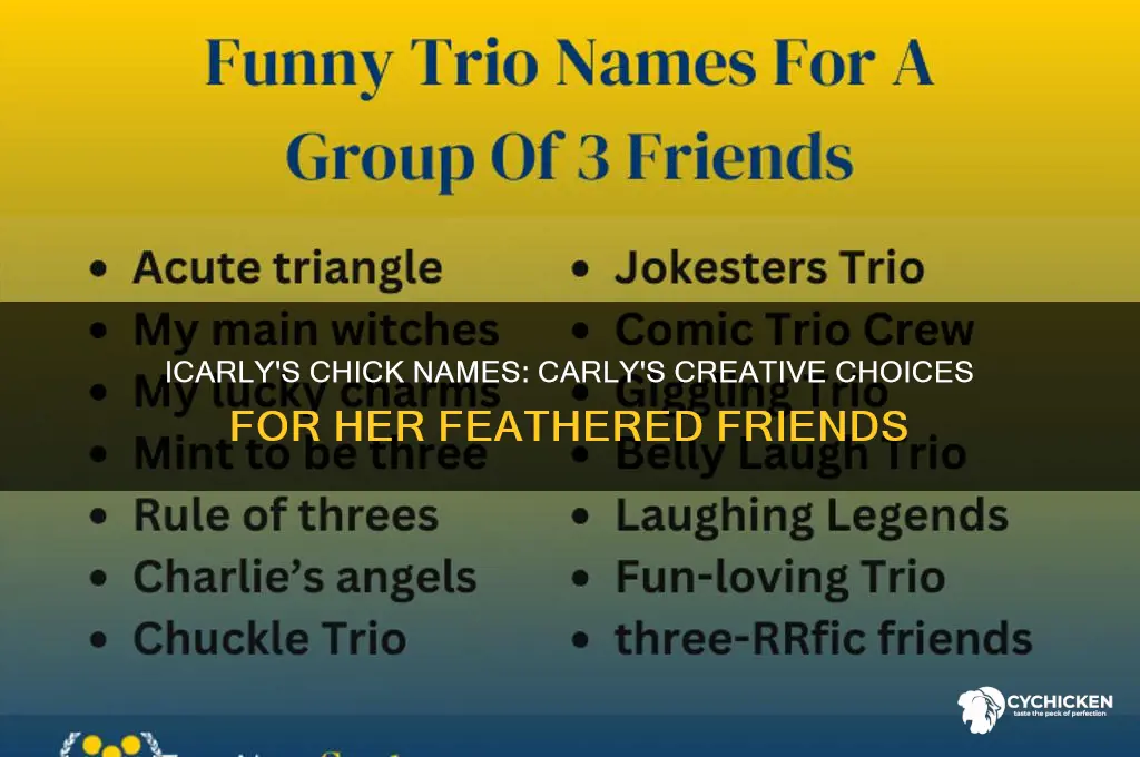 what did carly name the chicks on icarly