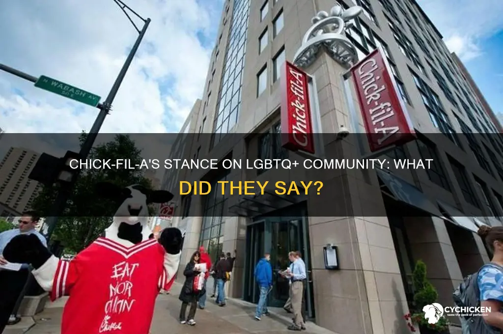 what did chick fla say about gays